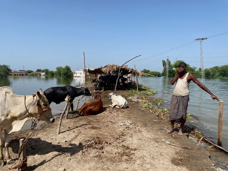 Naar aanleiding van de overstromingen heeft Pakistan de internationale gemeenschap opgeroepen financieel bij te dragen om het land aan klimaatverandering aan te passen. Beeld Getty Images