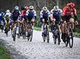 Archiefbeeld van de Scheldeprijs vorig jaar.