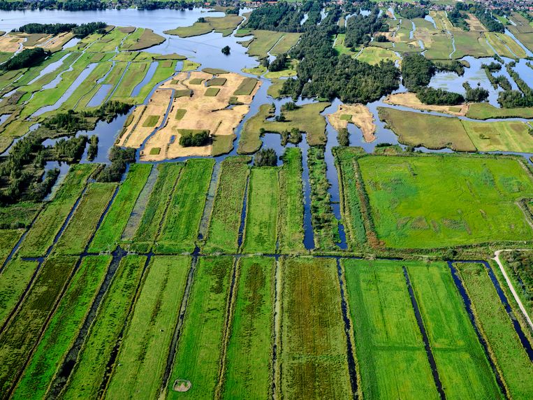Een veenweide in het Groene Hart Beeld ANP / Siebe Swart luchtfotografie