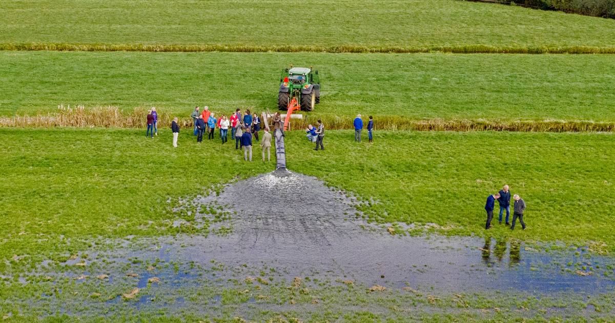 Papekopse Boer Harold zet zich in als waterbeheerder