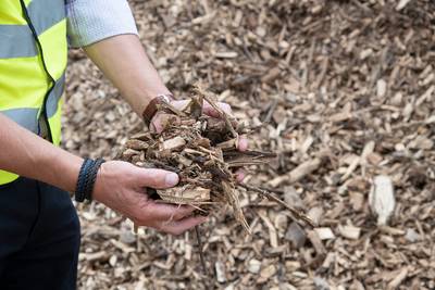 Fraude met vuil hout voor biomassacentrales doet wenkbrauwen fronsen: ‘Nooit iets van gehoord’