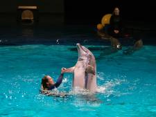 Minister eist dat Dolfinarium dolfijnenshow aanpast