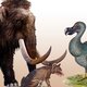 Staat de dodo op uit de doden? En vooral: willen we dat wel?