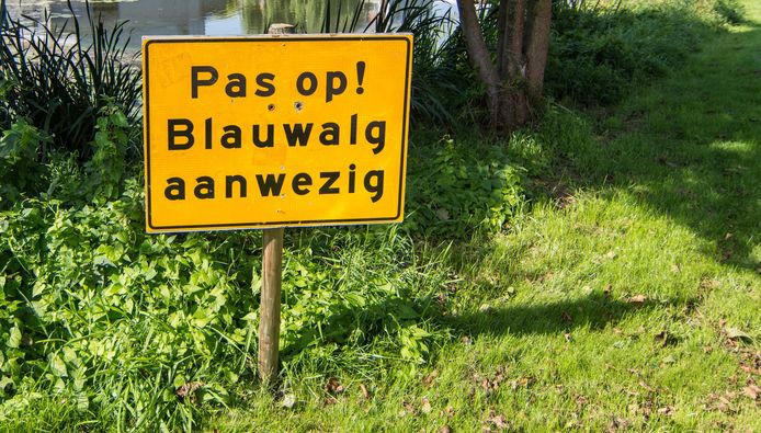 Pas op!