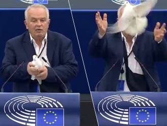 KIJK. Bizarre stunt: Slovaaks Europarlementslid tovert witte duif tevoorschijn als “teken van vrede” 
