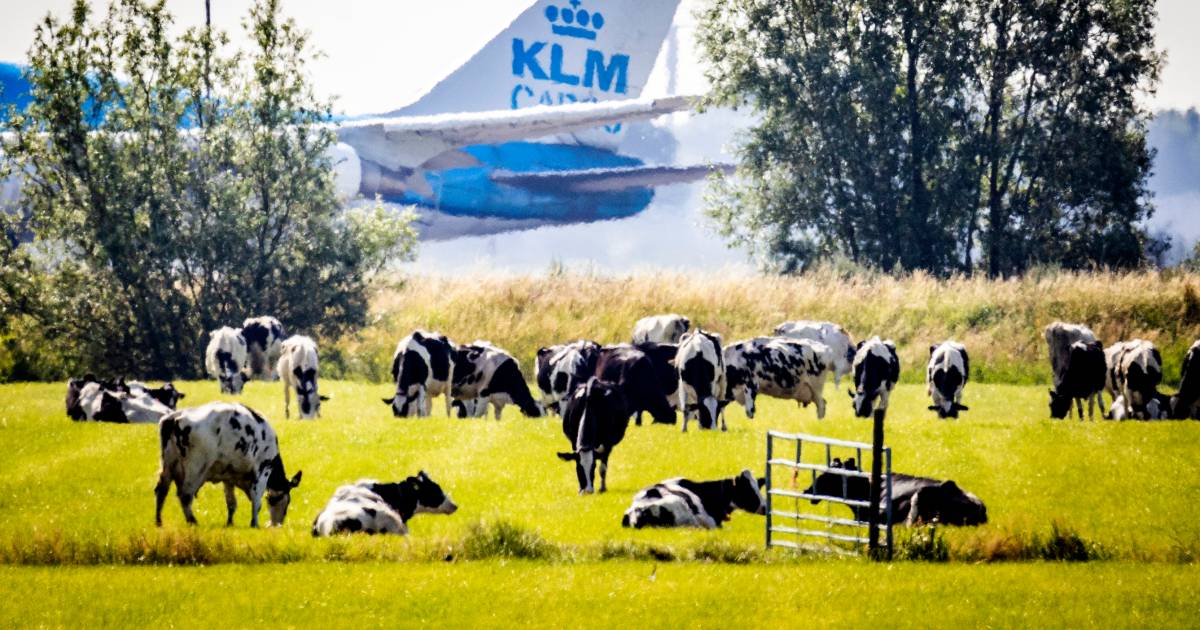 Les Pays-Bas sont assez pleins et, dans un climat changeant, cela entraîne de plus en plus de problèmes |  Intérieur