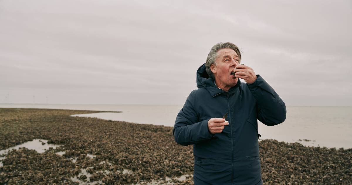 In Zeeland, author Guillaume Van der Stighelen (67) is close to his deceased son.  “He caught two large bass” |  Good weekend