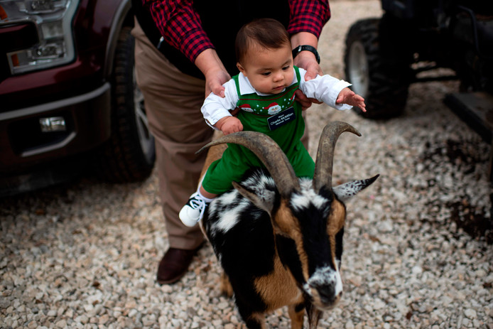 ?appId=21791a8992982cd8da851550a453bd7f&quality=0.9