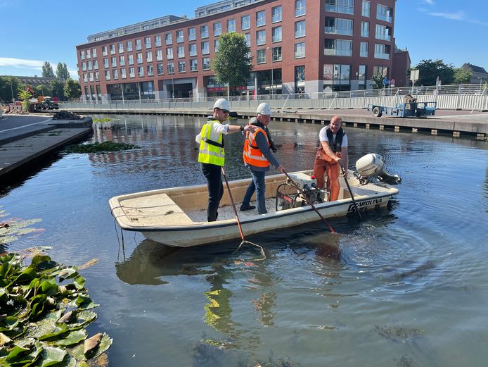 Voor de werkzaamheden aan de Nieuwe Mark in Breda moeten de vissen het water uit. Links wethouder Daan Quaars.