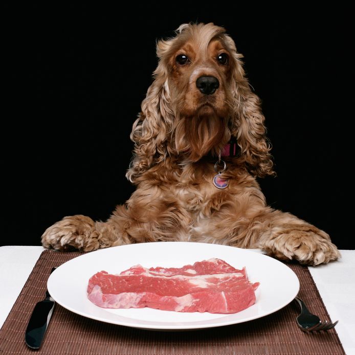 Foto ter illustratie.