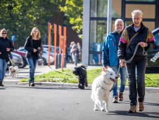 Hasselt opent eerste hondenlosloopbos op 12 april