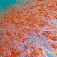 Verdwijnen van krill is niet te wijten aan klimaatverandering