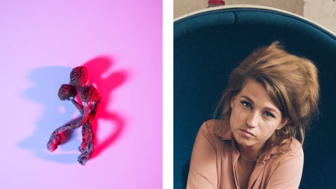 Trippen als therapie: kunnen paddo’s helpen bij een depressie? “Alcohol en sigaretten veroorzaken veel meer gezondheidsschade”