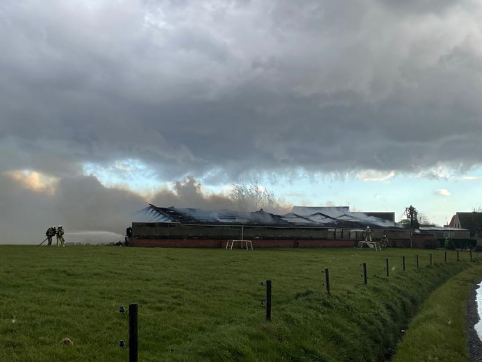 Een blikseminslag zorgde vrijwel onmiddellijk voor brand in de loods in Lichtervelde.