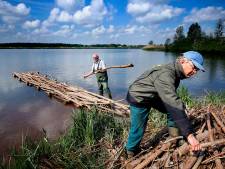 Vissen in het Giessens Pompveld vinden een schuilplek in hun eigen bos onder water