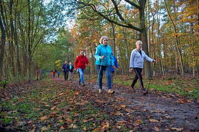 Open dag nordic walking in heel West-Brabant: 'niet alleen voor oud, ook voor jong'