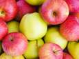 Waarom je beter een rode dan een groene appel kunt eten