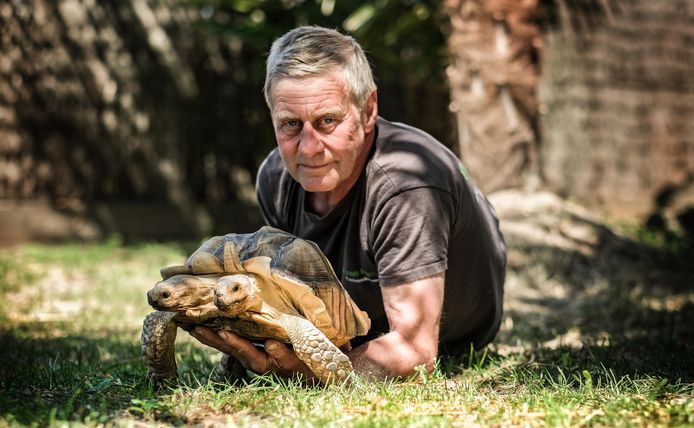 Tweekoppige schildpad Kianga viert 8ste verjaardag