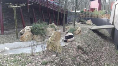 Hoe het met Wu Wen en Xing Ya gaat in de kou? Prima!