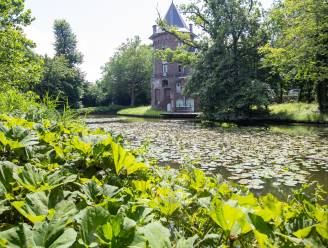 Van het doorkijkkerkje tot het Prinsenhof: op deze 9 locaties in Limburg maak je de mooiste trouwfoto’s