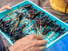 Insecten als voedsel: hoe leren we lief te zijn voor de meelworm?