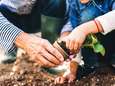 Tegels uit je tuin? De gemeente Dordt komt ze gratis ophalen