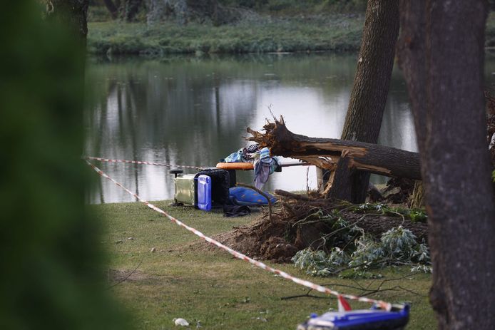 Door het noodweer vielen verschillende bomen om nabij een klein meer in het Oostenrijkse stadje Sankt Andrä.