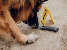 Niet alleen fout in Deventer Moordzaak: ‘Meer strafzaken beïnvloed na gesjoemel met hondengeurproeven Oost-Nederland’