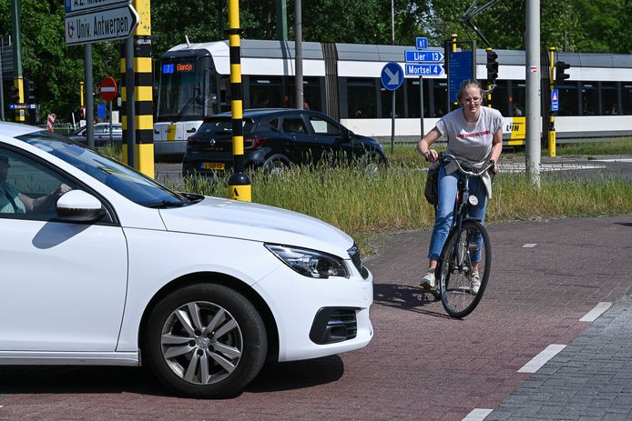 De Mechelsebrug in Antwerpen: het smalle fietspad wordt als meest gemelde punt van Vlaanderen aangegeven.