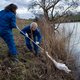 Natuurorganisaties bekritiseren minister om aanpak vogelgriep
