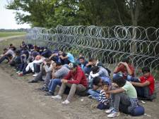 La Hongrie prévoit une clôture anti-migrants à sa frontière avec la Roumanie