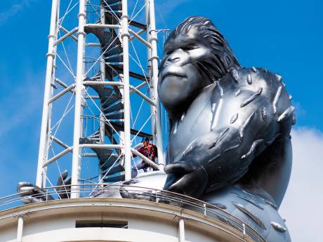King Kong is even weg, dit is waarom