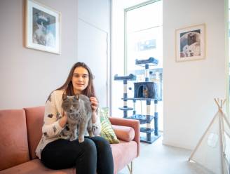 Dierenverzorgster Axelle (25) opent dinsdag Cats & Cups: “De katten zijn hier thuis, dus bezoekers moeten hun regels volgen”