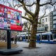 Oproep leden: GroenLinks en PvdA moeten straks één fractie vormen in Amsterdamse raad