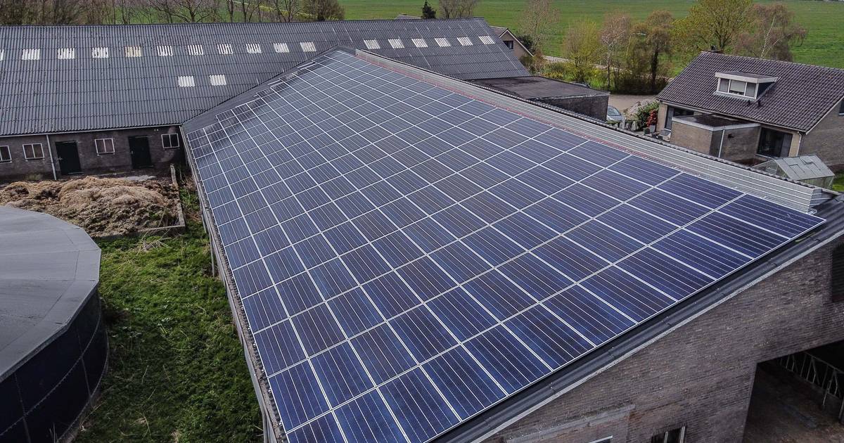 Eindelijk zit de stekker in het Zwaluwse zonnedak: 'Geen kwestie van even een knop omzetten' - BN De