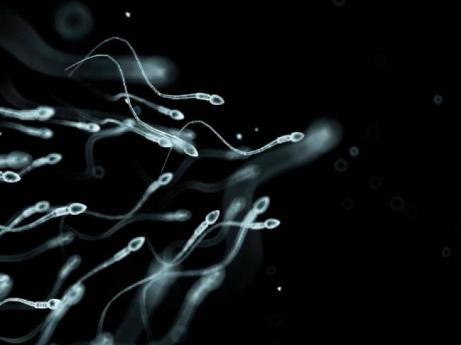 Studie: “Coronavirus verhoogt kans op verminderde spermakwaliteit”