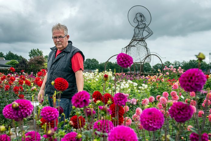 Ludo Gommers in de showtuin van de stichting Bloemencommissie Zundert