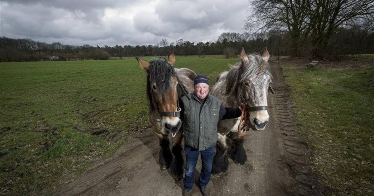 Hennie van de Kes en zijn Belzen zijn klaar voor Pasen in Ootmarsum