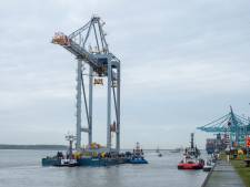 Containerterminal in Port of Antwerp-Bruges halveert CO2-uitstoot op acht jaar tijd