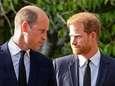 Alle pogingen tot verzoening tussen Harry en William mislukt: "Prins William wist broer uit zijn geheugen”