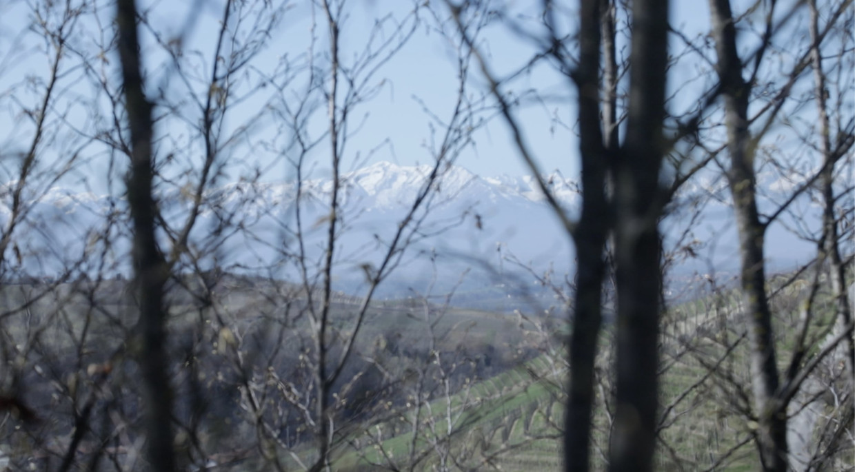 Het Noord-Italiaanse landschap waar we met Einaudi doorwandelen. Beeld Tania Feghali