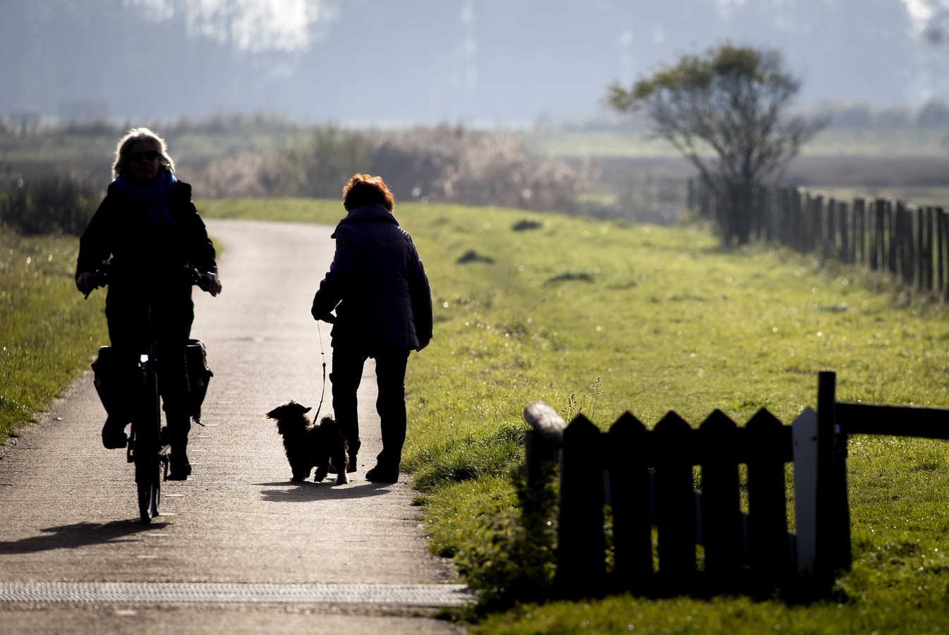 De dagen worden weer langer 'Hoe meer daglicht, hoe blijer mensen worden’ Foto AD.nl