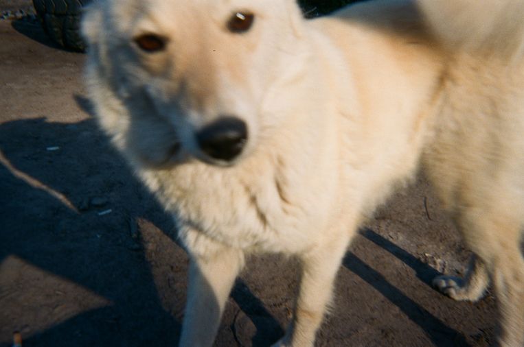 null Beeld Sasha, 11 y.o