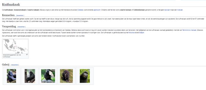 De 'aapselfie' staat op de Wikipediapagina van zijn soort de Kuifmakaak