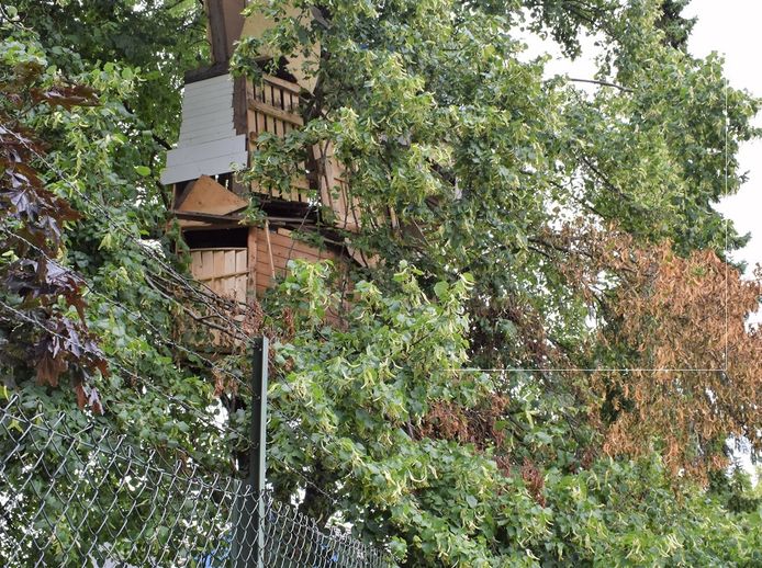 De boomhut in Schoonrewoerd blijkt onveilig.