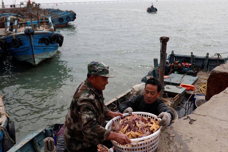 Vissers halen hun vangst binnen in de haven van Qingdao één dag na de botsing tussen de twee schepen. Beeld REUTERS