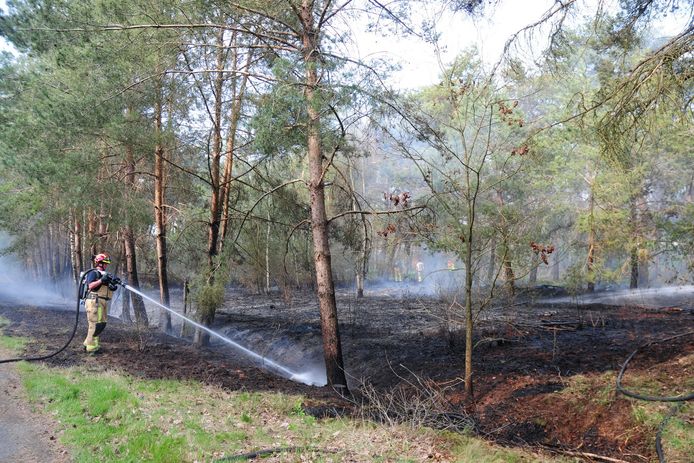 Natuurbrand bij Maarheeze snel onder controle.