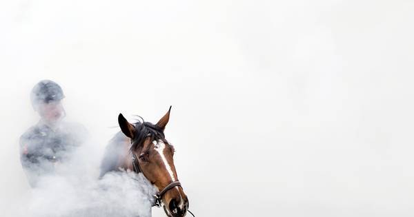 300 euro boete na doodsbedreiging bij manege in Den Ham - Tubantia