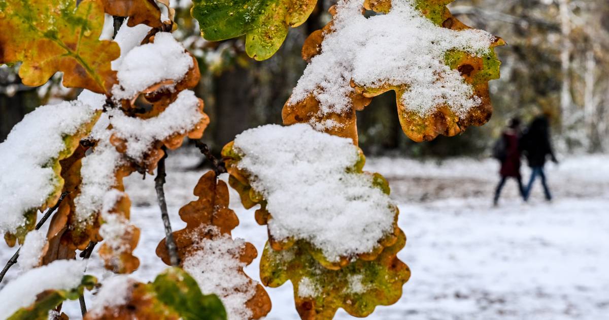 WEERBERICHT. Zwaarbewolkte dag met lichte neerslag en sneeuw in Hoge