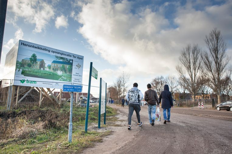 Het azielzoekerscentrum in Ter Apel.  Beeld Harry Cock / De Volkskrant